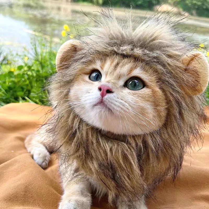 ⭐ Hear Me Roar... Meow! - Image 19