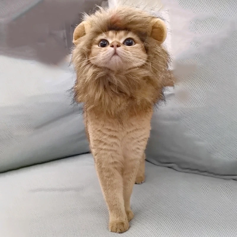 ⭐ Hear Me Roar... Meow! - Image 26