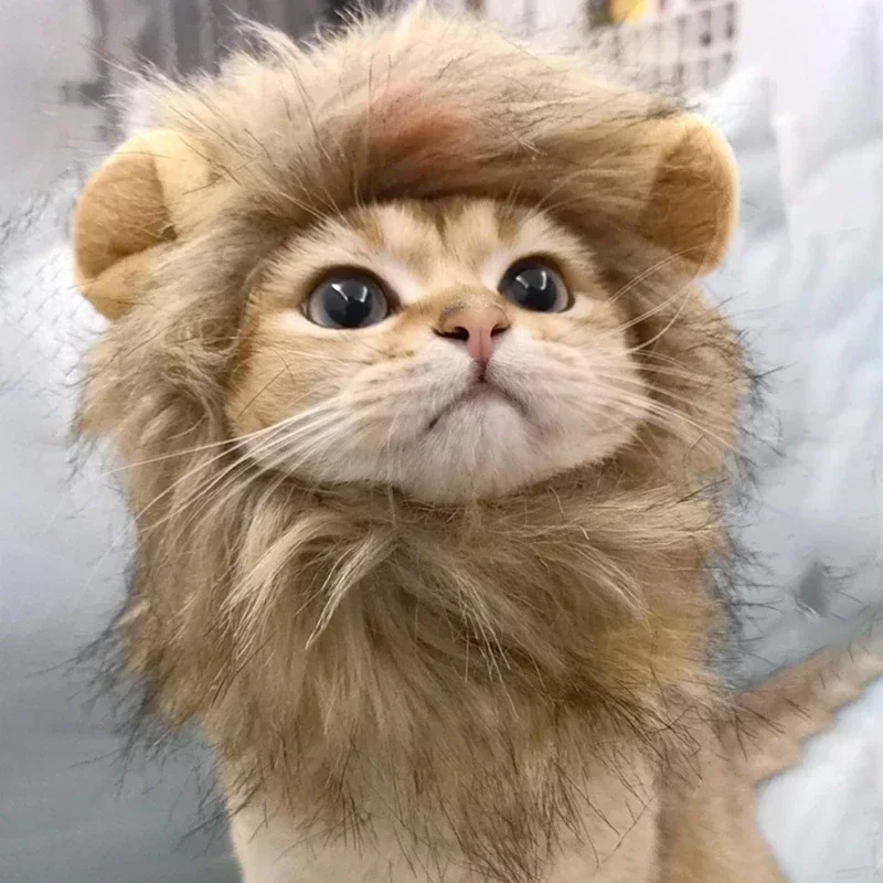 ⭐ Hear Me Roar... Meow! - Image 3