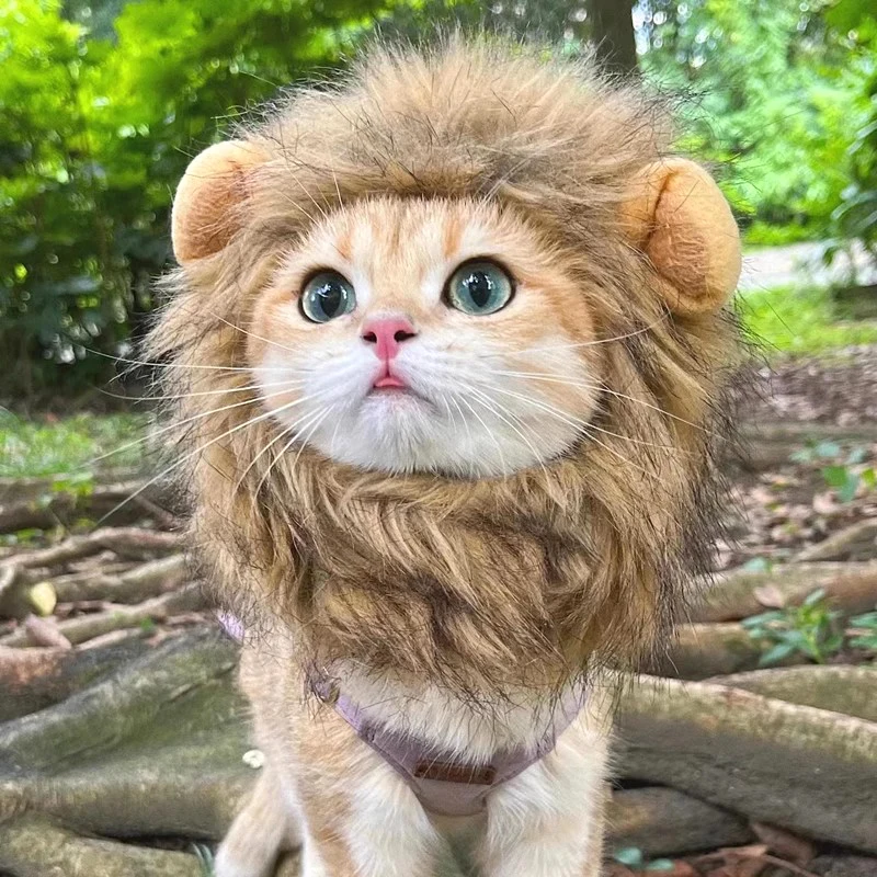 ⭐ Hear Me Roar... Meow! - Image 12