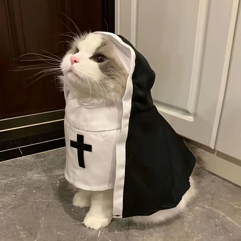 ⭐ Sister Whiskers' Halloween Habit Costume - Image 4