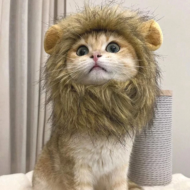 ⭐ Hear Me Roar... Meow! - Image 27