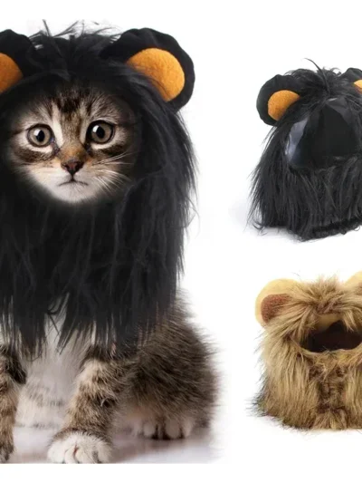 ⭐ Hear Me Roar... Meow!