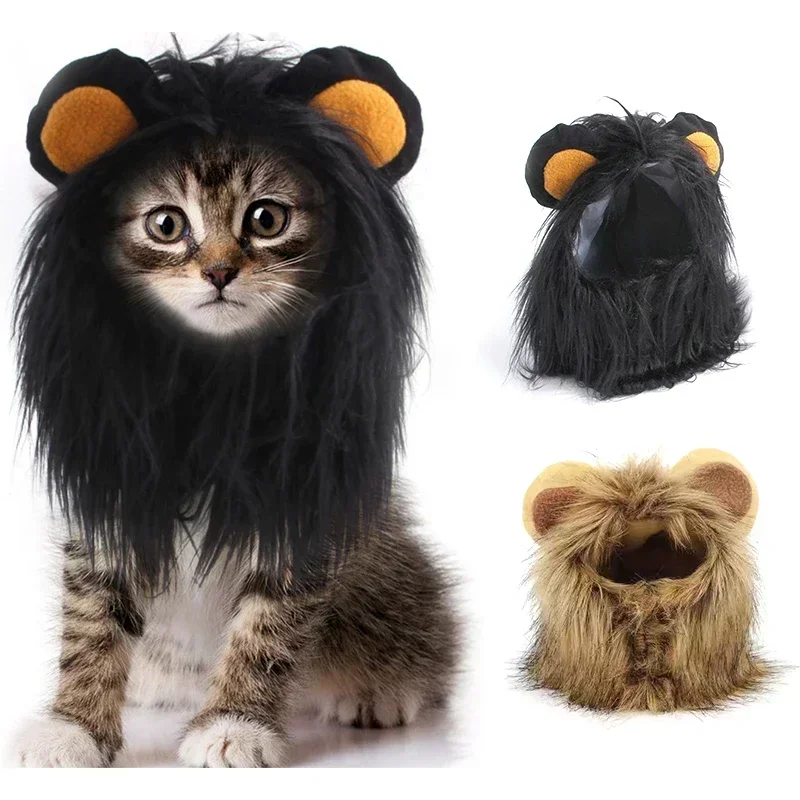 ⭐ Hear Me Roar... Meow!