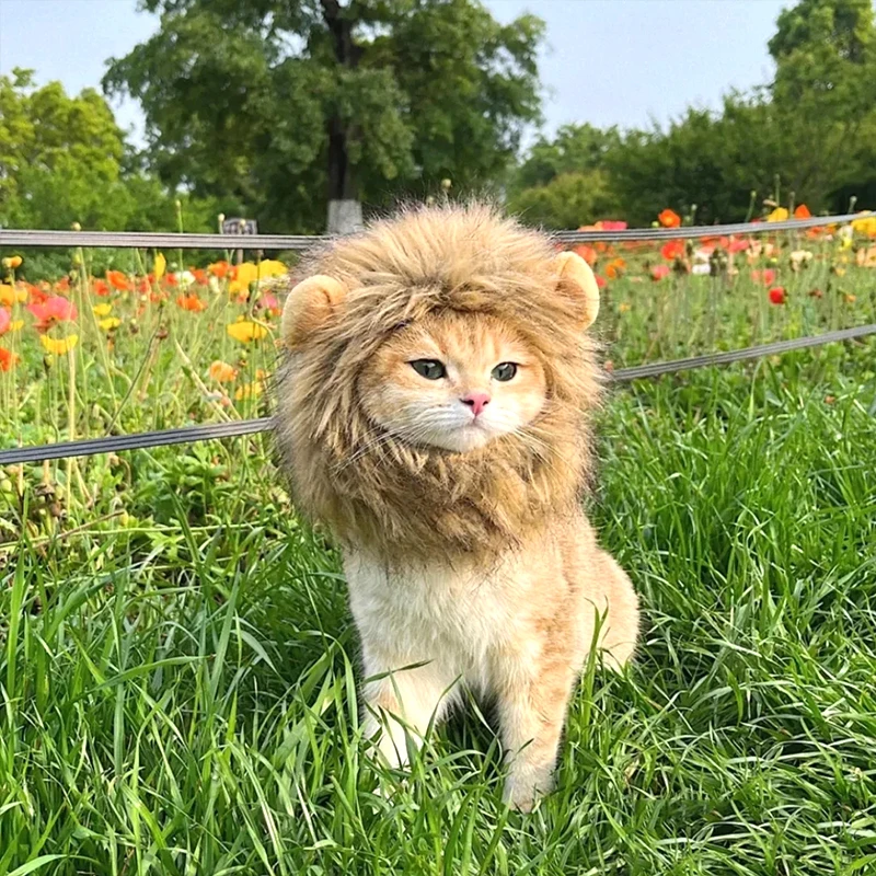 ⭐ Hear Me Roar... Meow! - Image 16