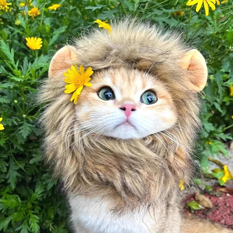 ⭐ Hear Me Roar... Meow! - Image 22