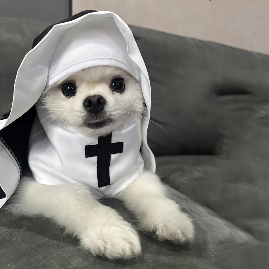 ⭐ Sister Whiskers' Halloween Habit Costume - Image 10
