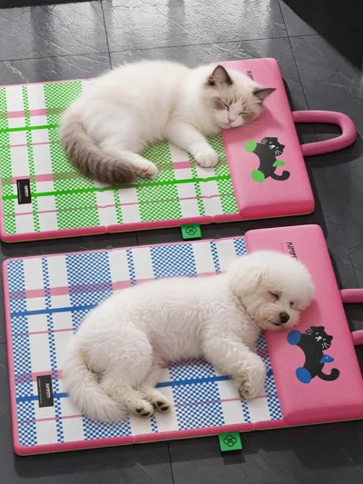 ⭐ Cool Cat Summer Lounger