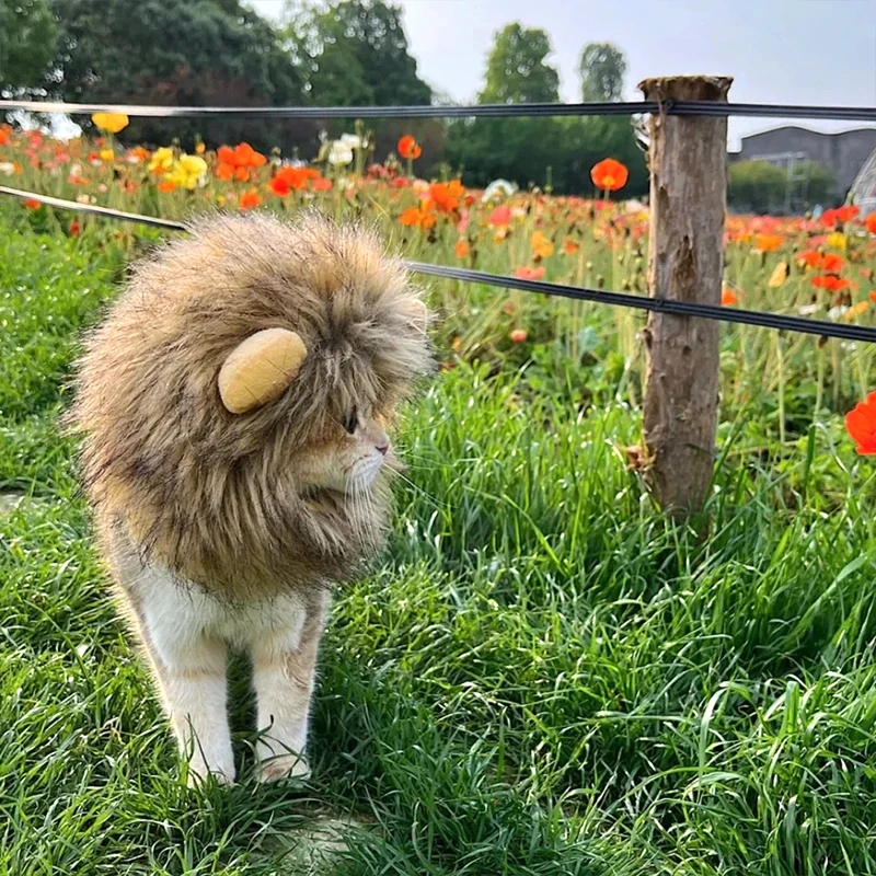 ⭐ Hear Me Roar... Meow! - Image 15