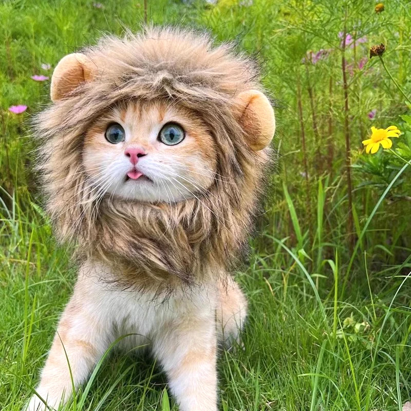 ⭐ Hear Me Roar... Meow! - Image 13