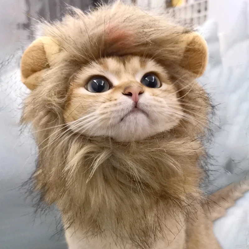 ⭐ Hear Me Roar... Meow! - Image 24
