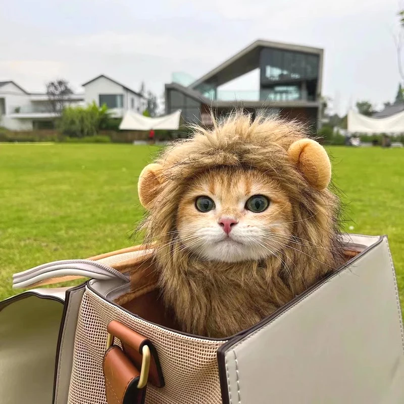 ⭐ Hear Me Roar... Meow! - Image 23