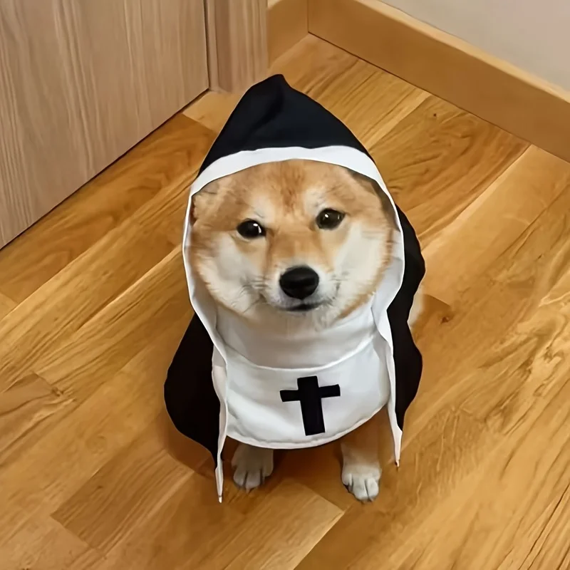 ⭐ Sister Whiskers' Halloween Habit Costume - Image 6