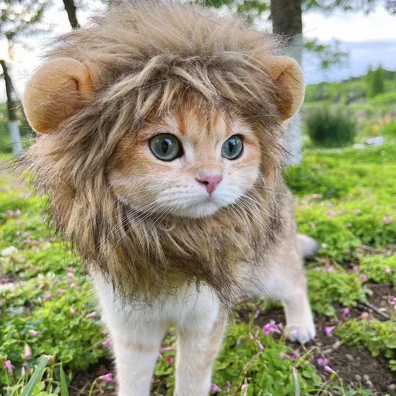 ⭐ Hear Me Roar... Meow! - Image 2
