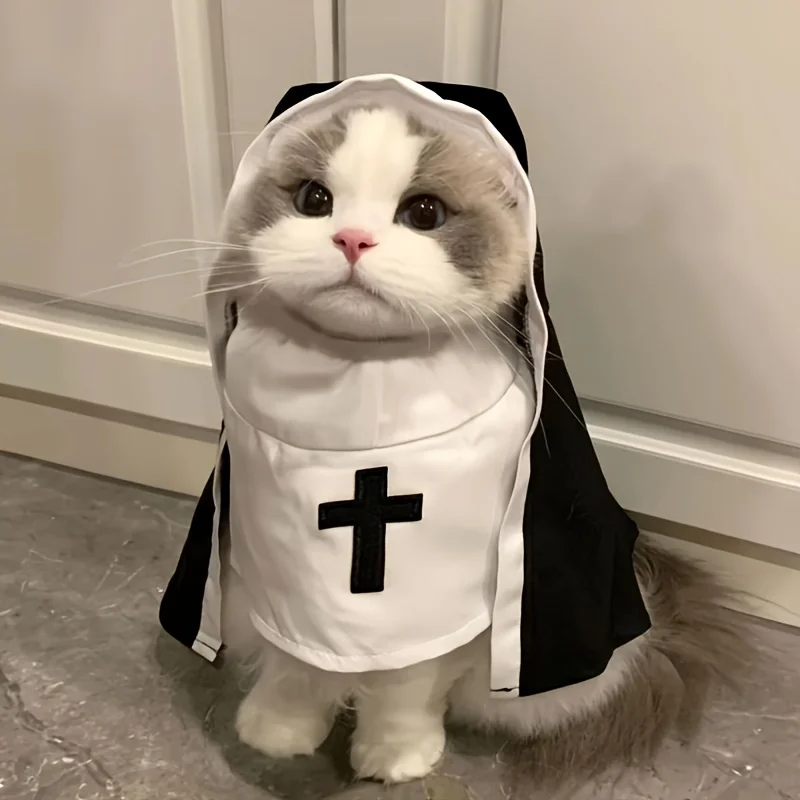 ⭐ Sister Whiskers' Halloween Habit Costume - Image 2