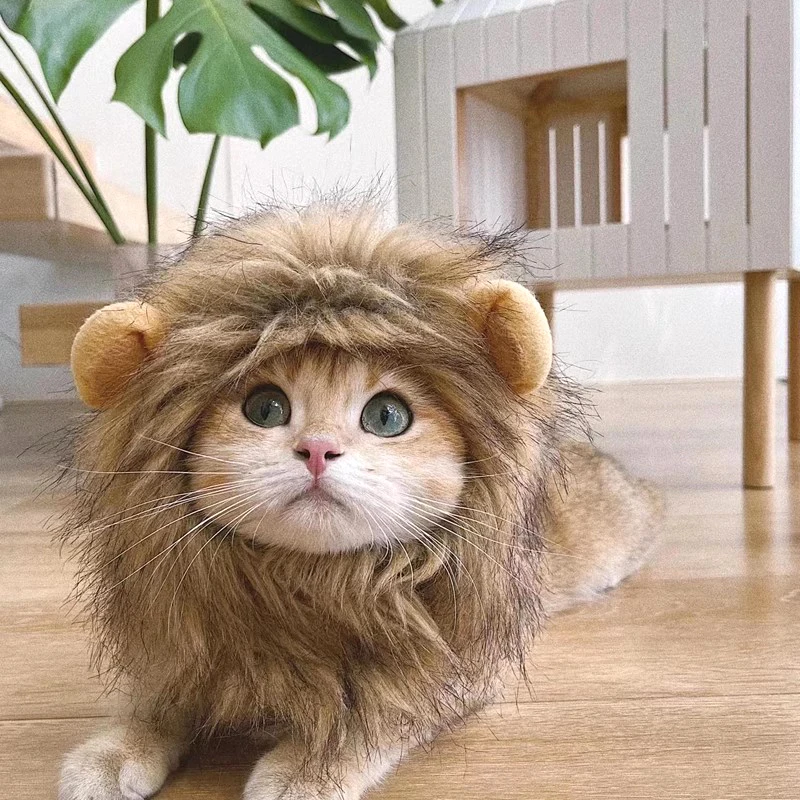⭐ Hear Me Roar... Meow! - Image 21