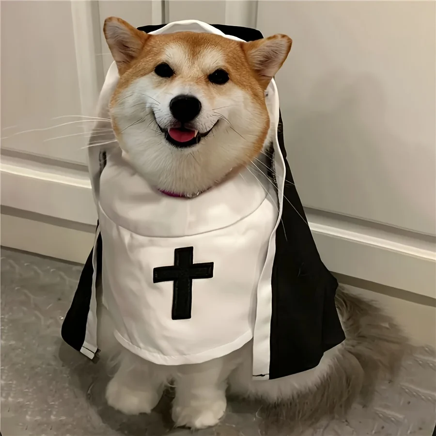 ⭐ Sister Whiskers' Halloween Habit Costume - Image 8